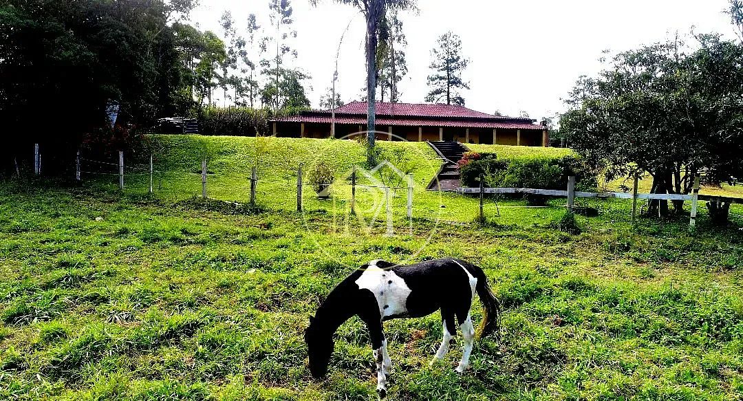 Sítio, 6 quartos, 5 hectares - Foto 5