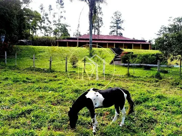 Sítio com 50000m² 6 quartos e 6 banheiros, à venda, no bairro Centro em Ibiúna