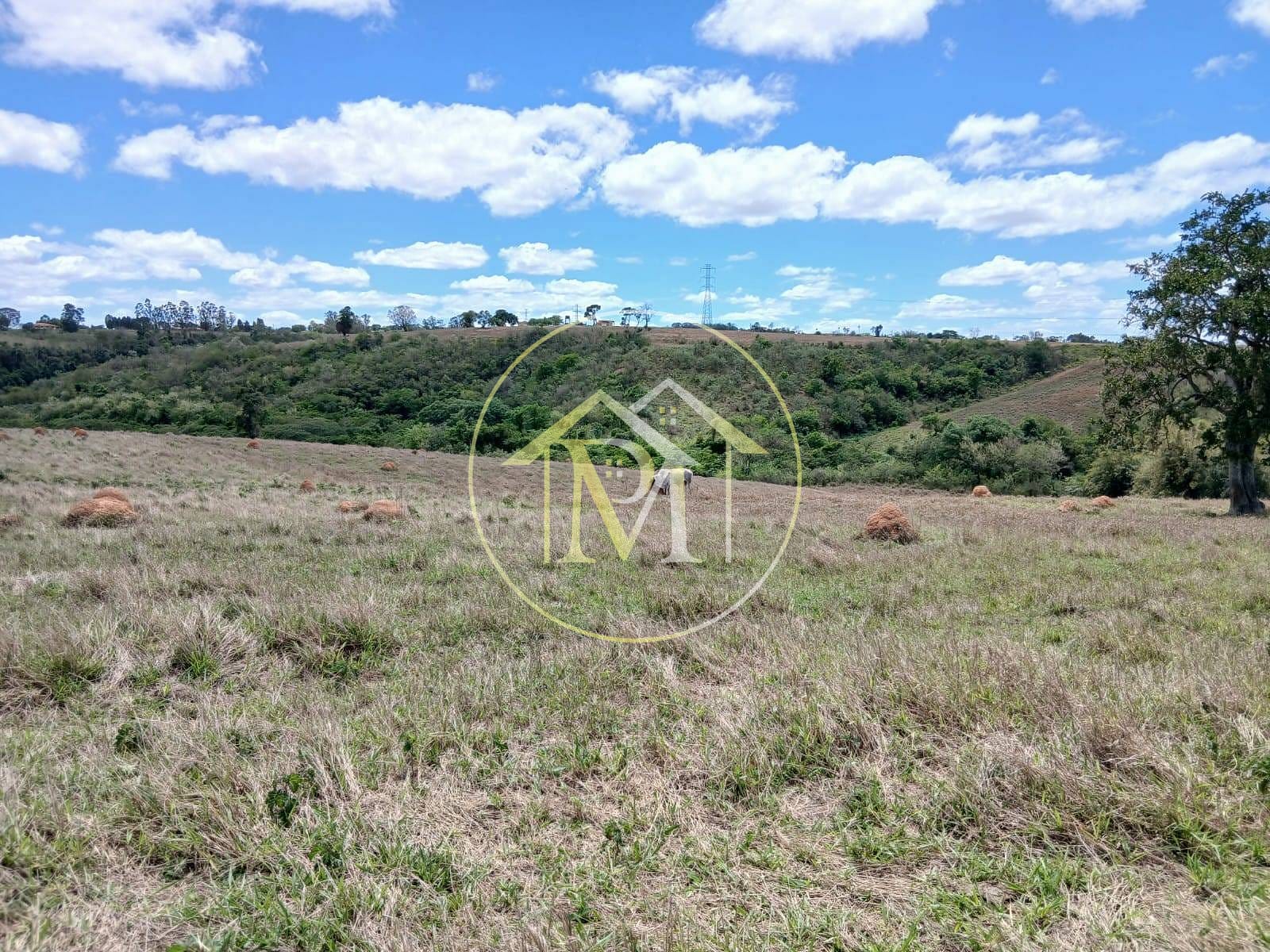 Sítio, 2 quartos, 2 hectares - Foto 3