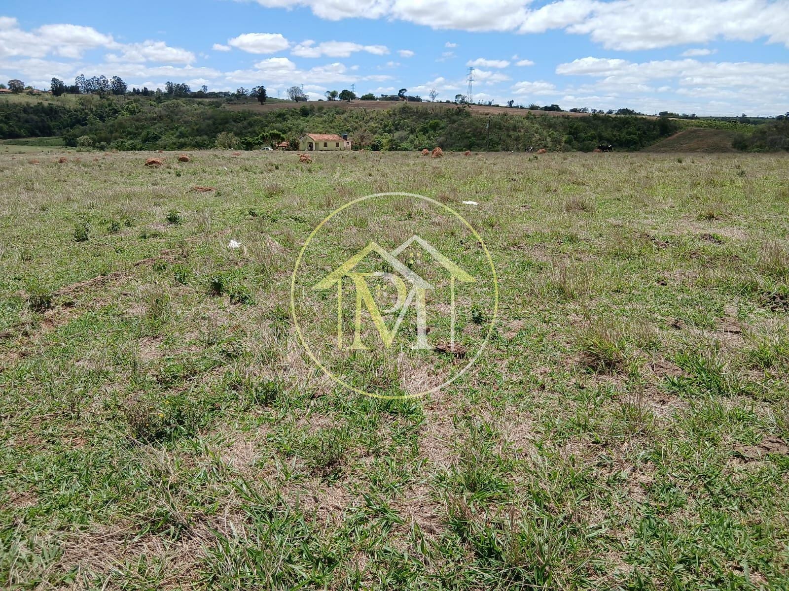 Sítio, 2 quartos, 2 hectares - Foto 13