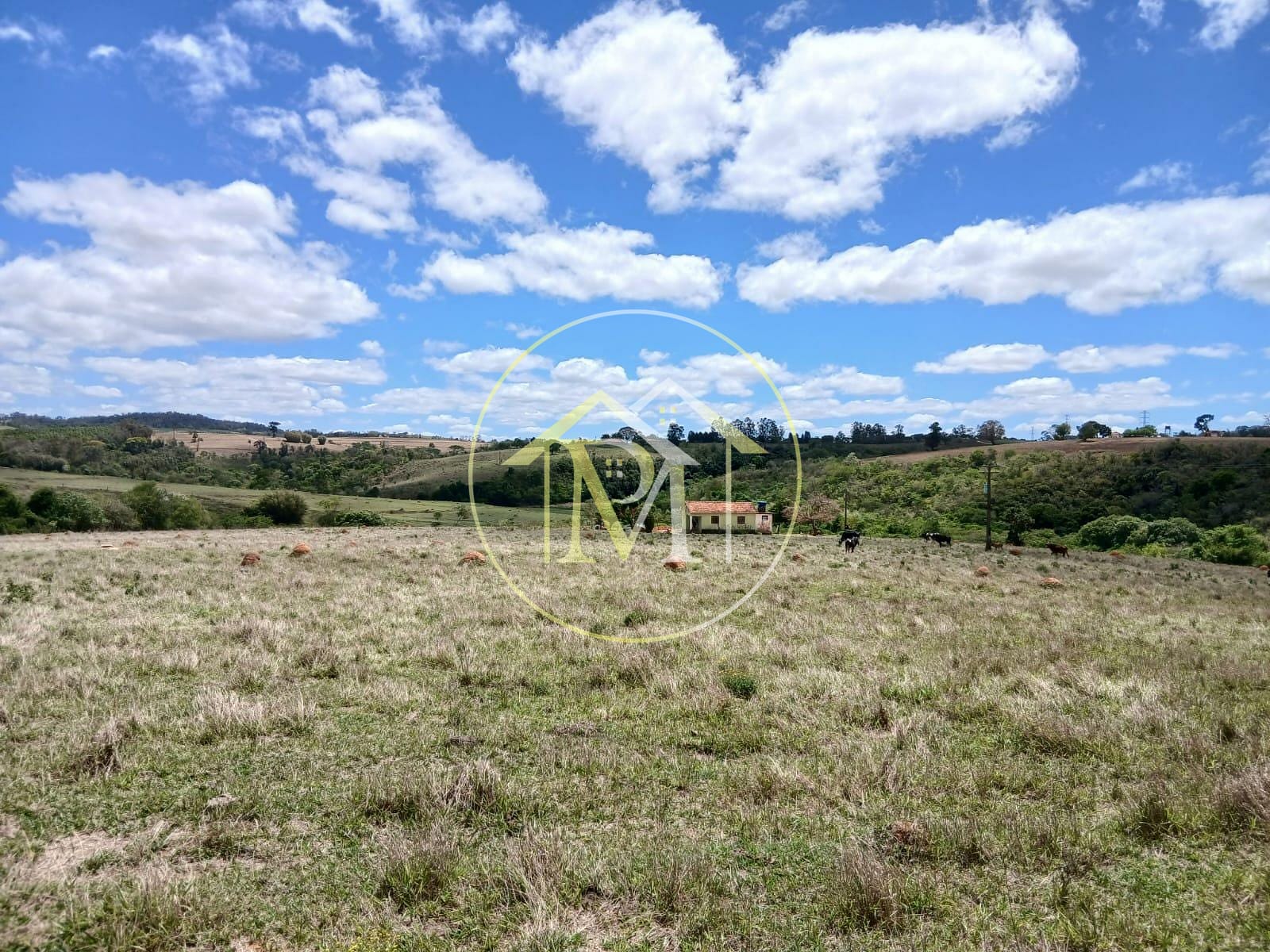 Sítio, 2 quartos, 2 hectares - Foto 15