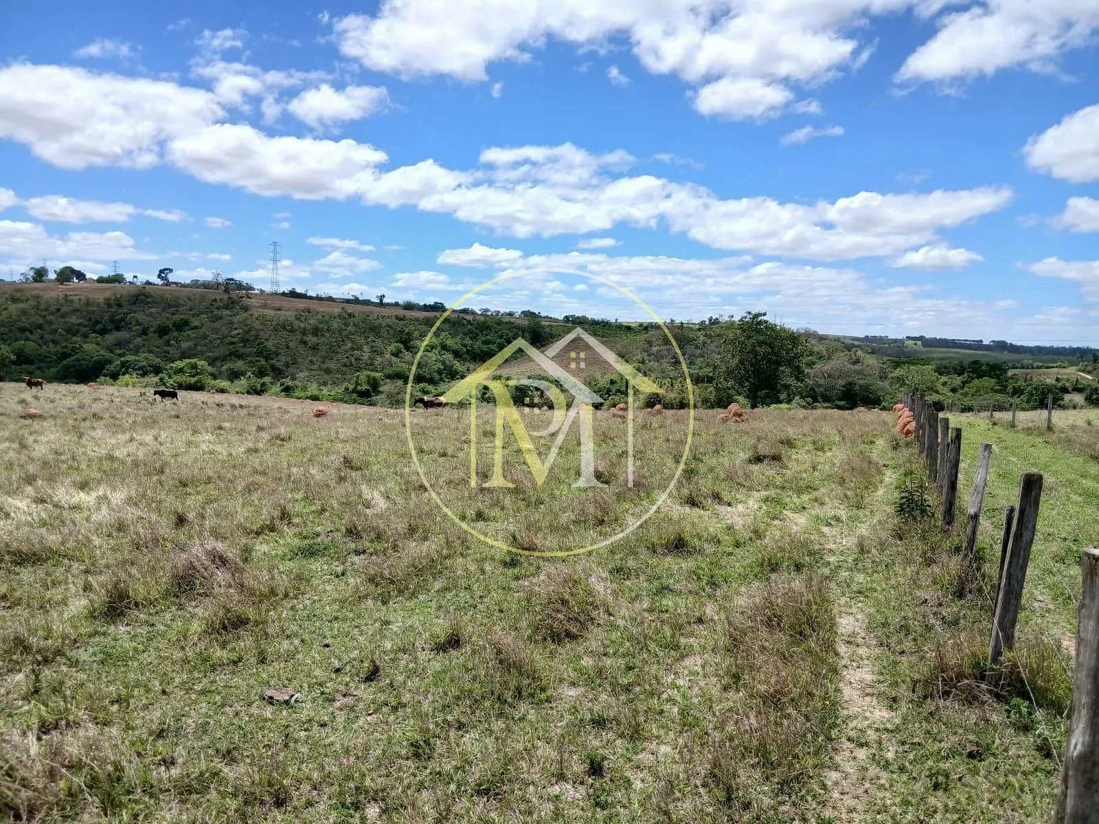 Sítio, 2 quartos, 2 hectares - Foto 10