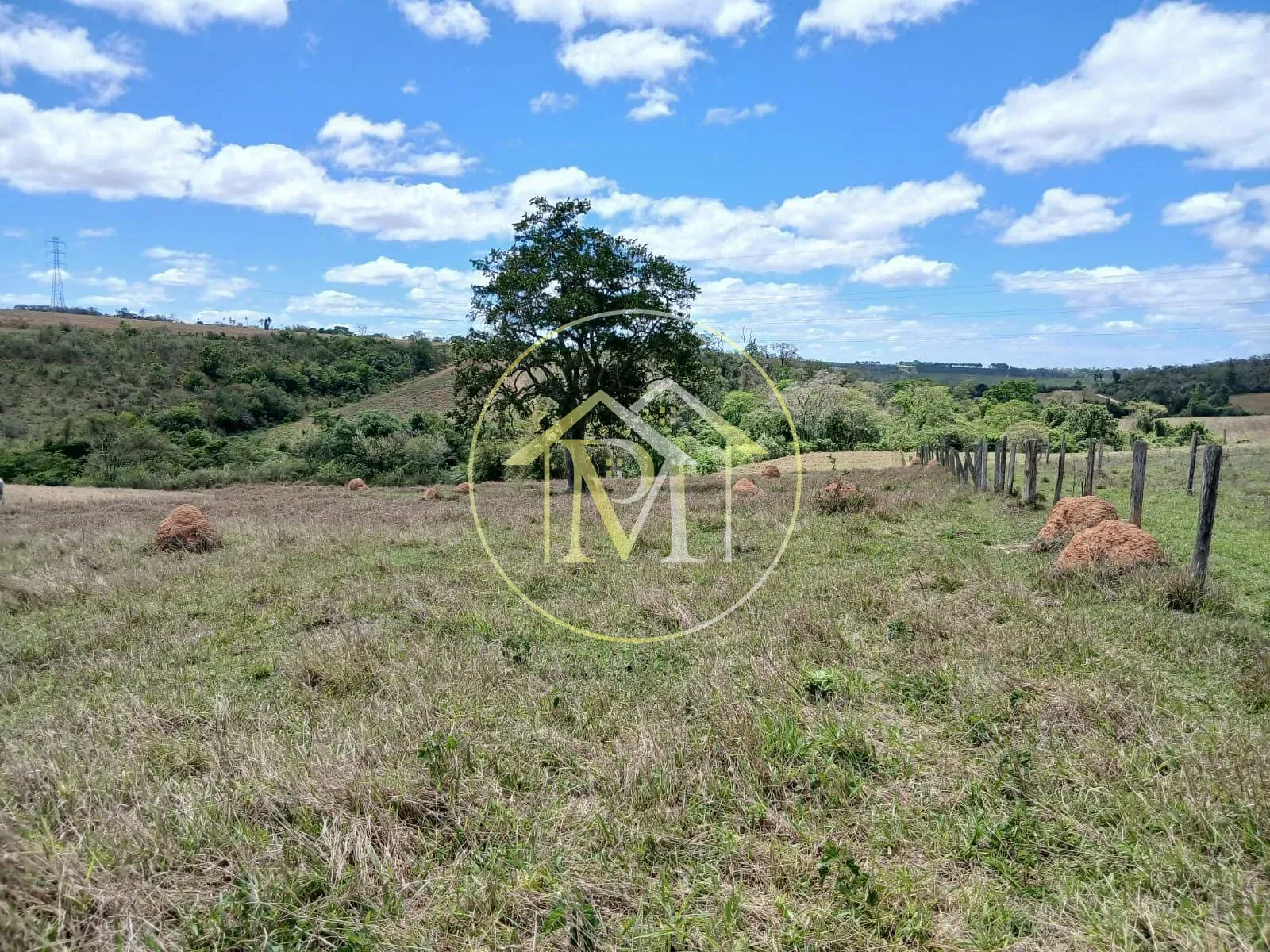 Sítio, 2 quartos, 2 hectares - Foto 14