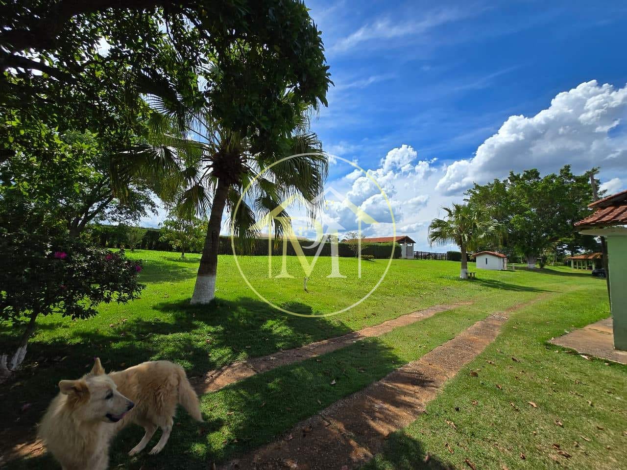 Sítio, 2 quartos, 10 hectares - Foto 23