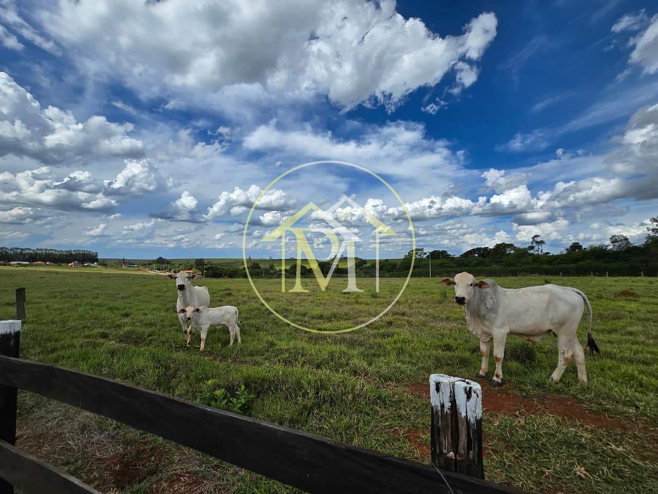 Sítio, 2 quartos, 10 hectares - Foto 26