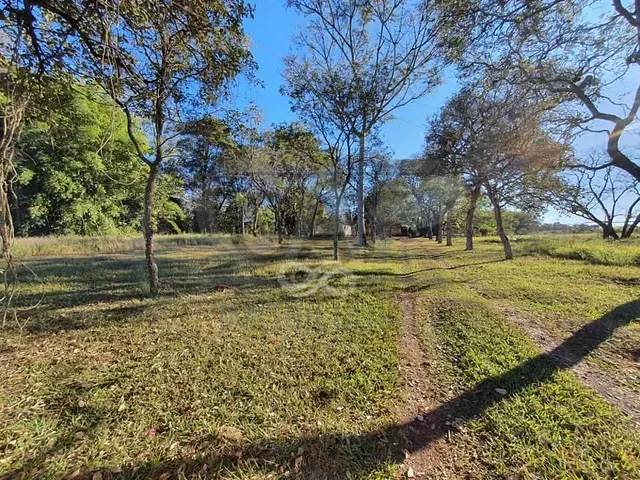 Terreno com 20000m², à venda ou para alugar, no bairro Tanquinho Velho em Jaguariúna