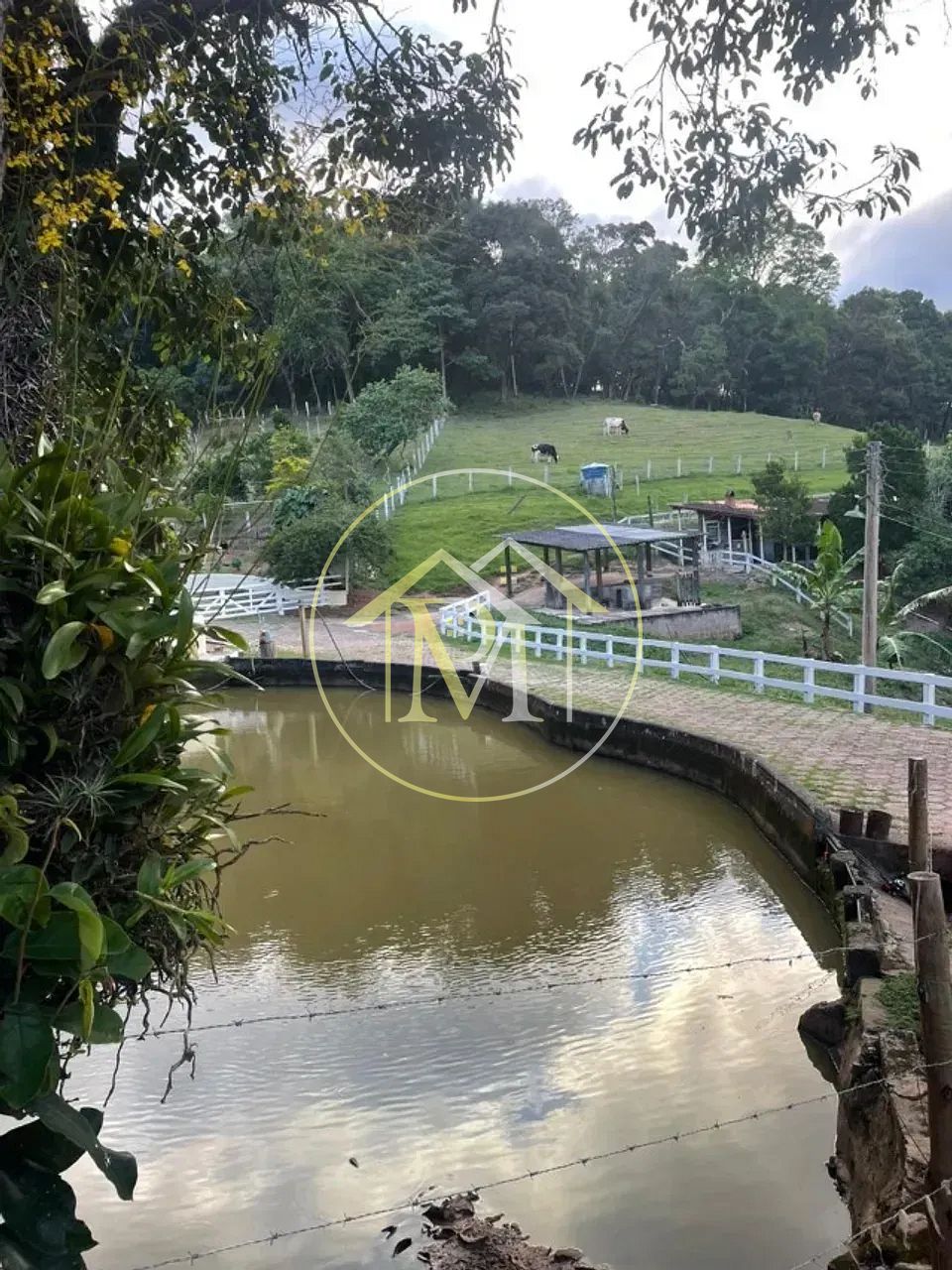 Sítio, 3 quartos, 12 hectares - Foto 1