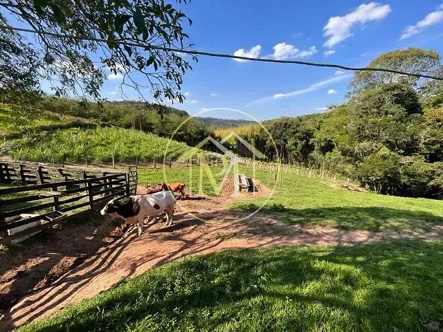 Sítio, 3 quartos, 12 hectares - Foto 5