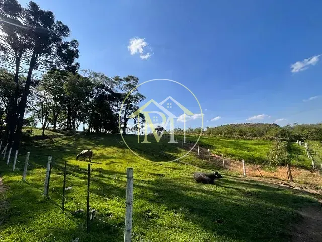 Sítio com 115000m² 3 quartos e 2 banheiros, à venda, no bairro Centro em Piedade