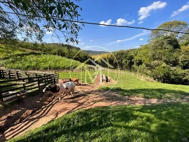 Sítio com 115000m² 3 quartos e 2 banheiros, à venda, no bairro Centro em Piedade