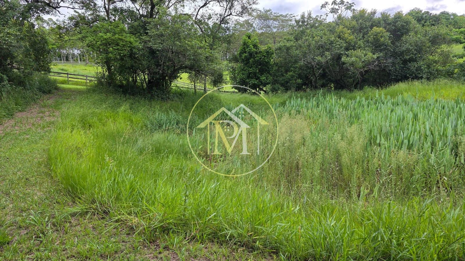 Fazenda, 13 hectares - Foto 14