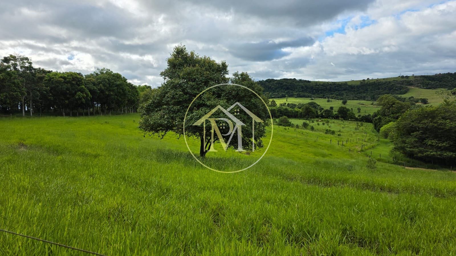 Fazenda, 13 hectares - Foto 15