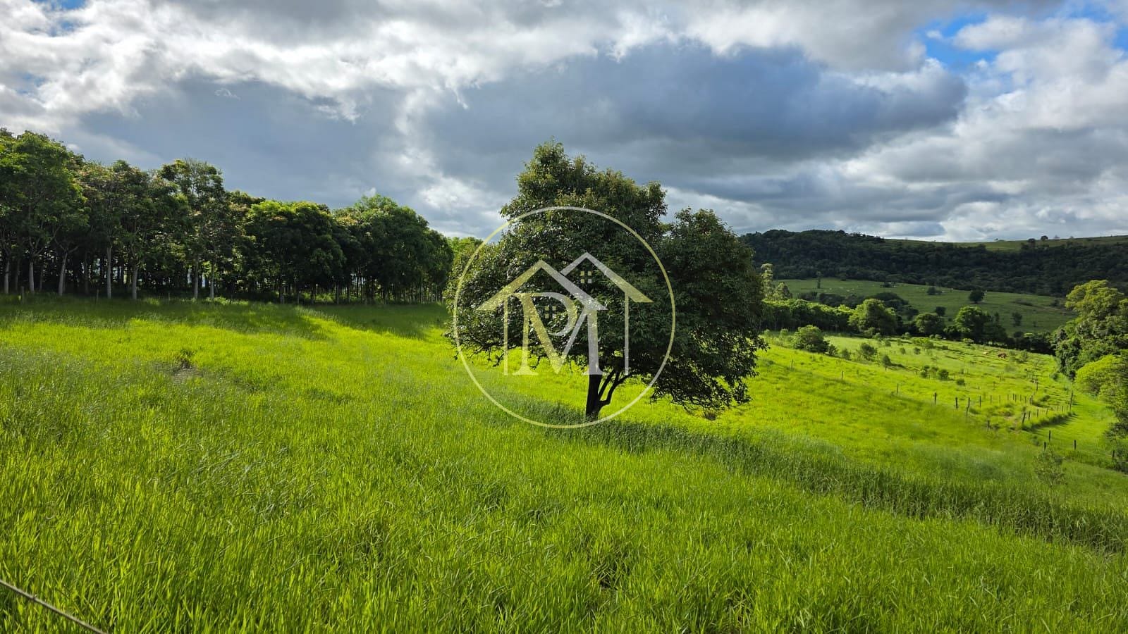 Fazenda, 13 hectares - Foto 18