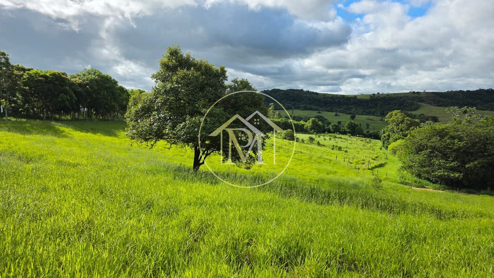 Fazenda, 13 hectares - Foto 19