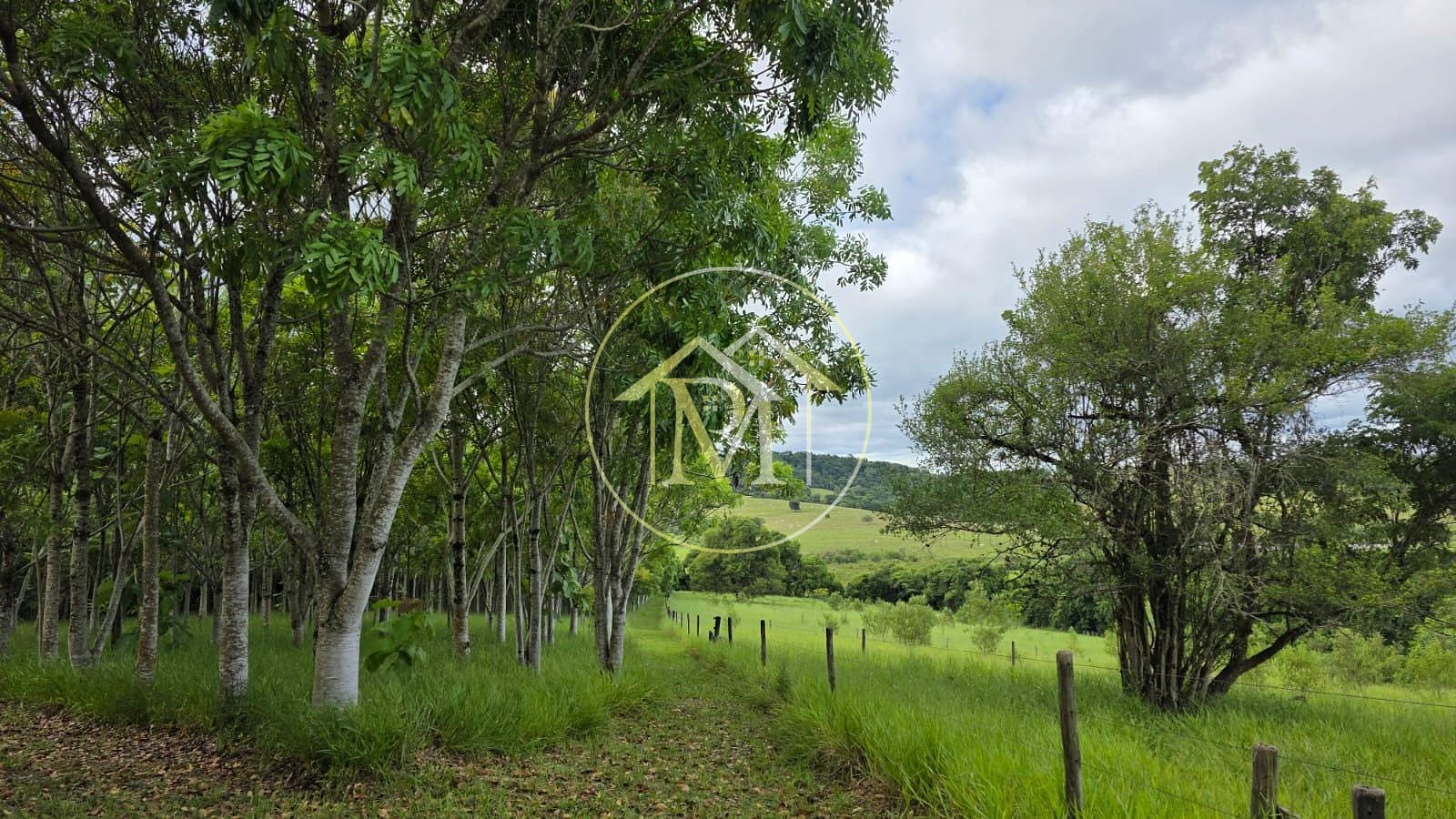 Fazenda, 13 hectares - Foto 22