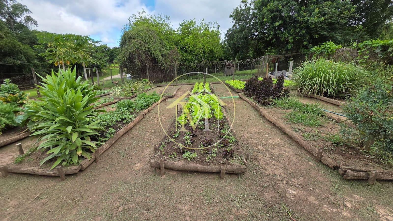 Fazenda, 13 hectares - Foto 27