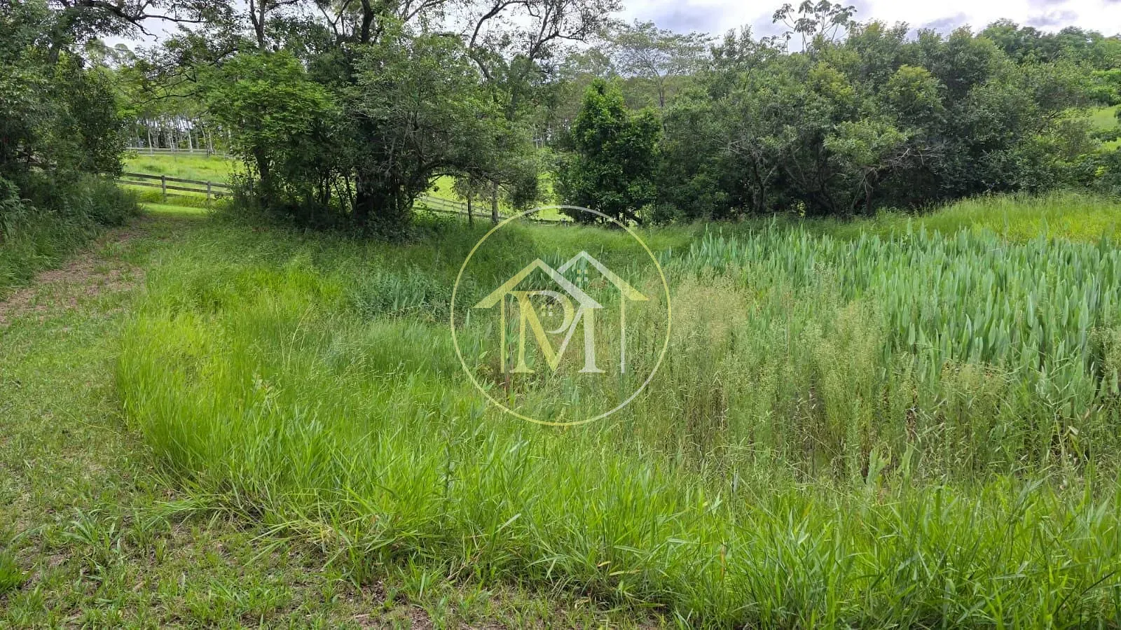 Fazenda, 13 hectares - Foto 14