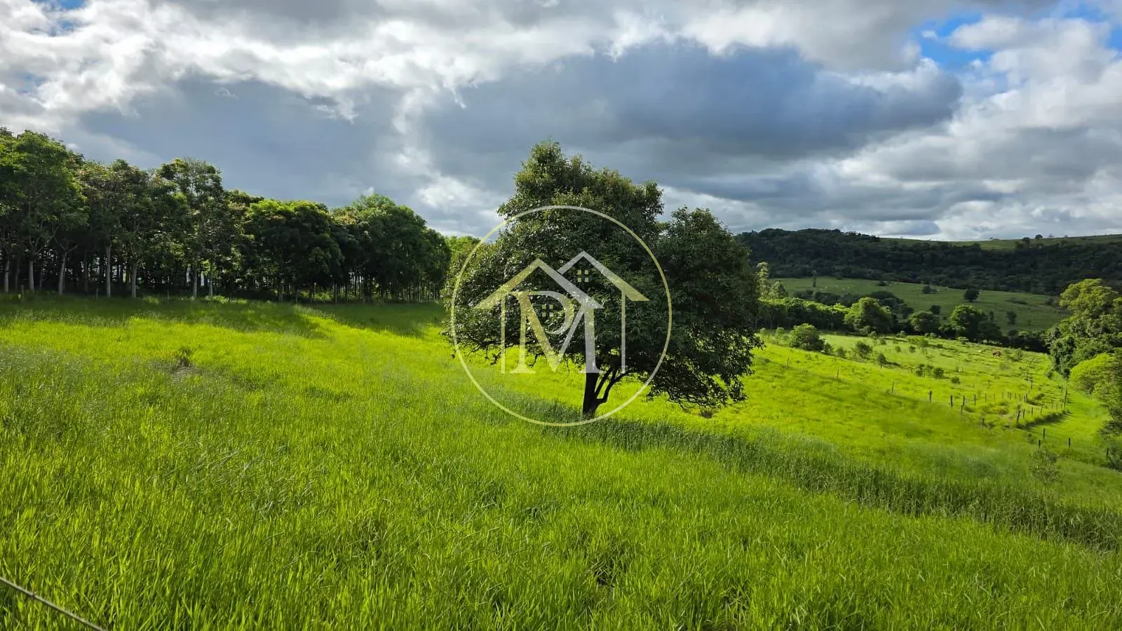 Fazenda, 13 hectares - Foto 18