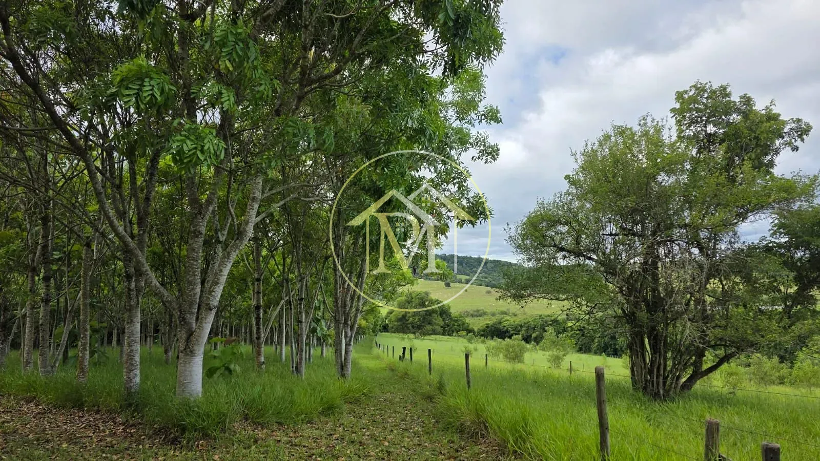 Fazenda, 13 hectares - Foto 22