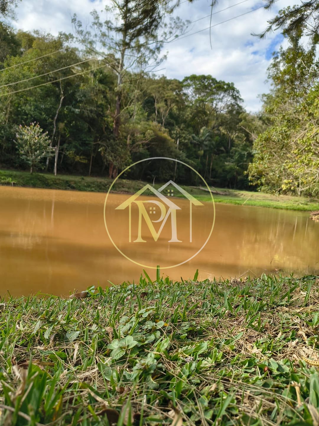 Fazenda, 14 hectares - Foto 45