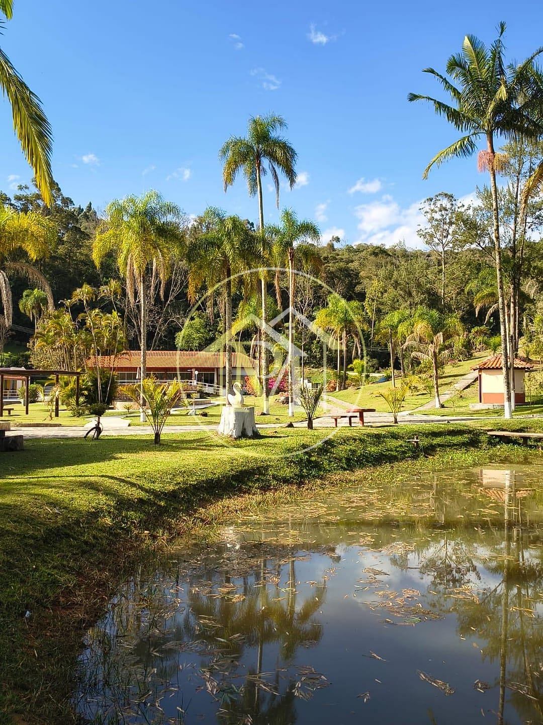 Fazenda, 14 hectares - Foto 1