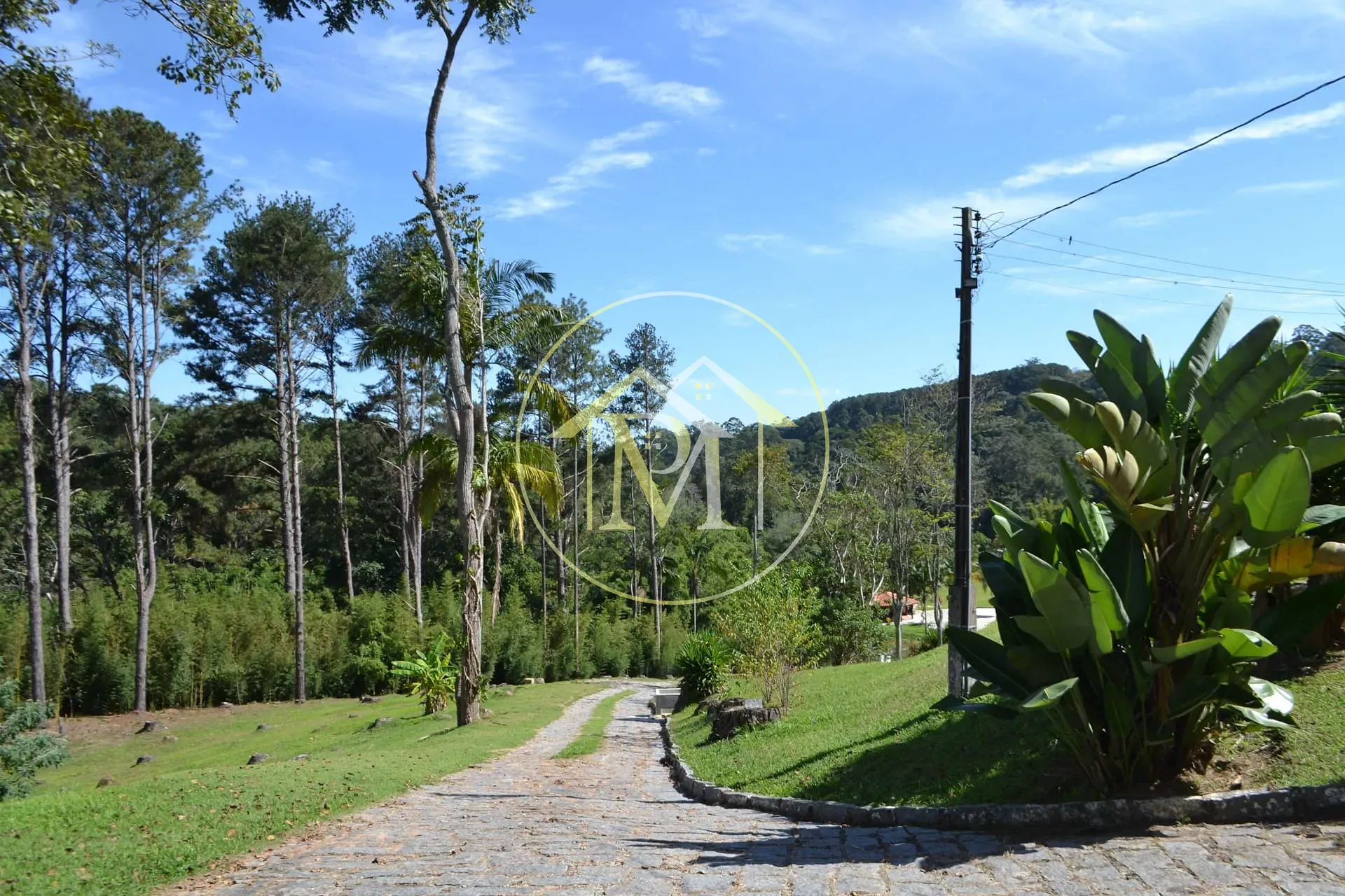 Fazenda, 14 hectares - Foto 2