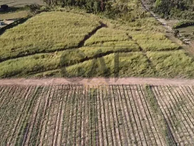 Sítio com 27500m², à venda, no bairro Área Rural de Artur Nogueira em Artur Nogueira