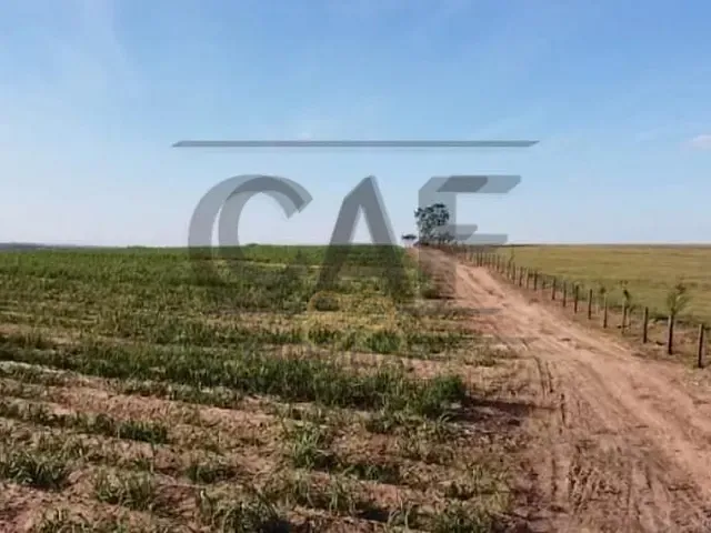 Sítio com 27500m², à venda, no bairro Área Rural de Artur Nogueira em Artur Nogueira