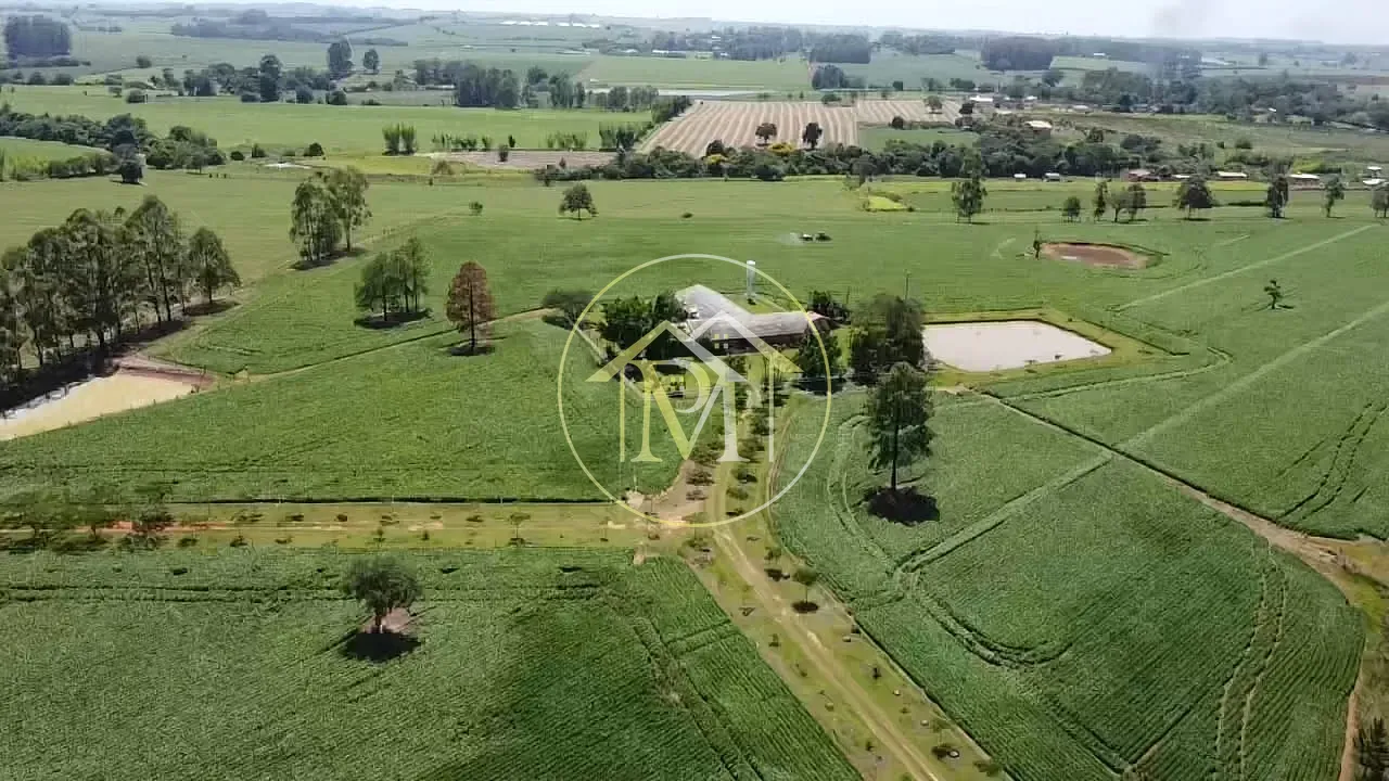Sítio, 3 quartos, 13 hectares - Foto 4