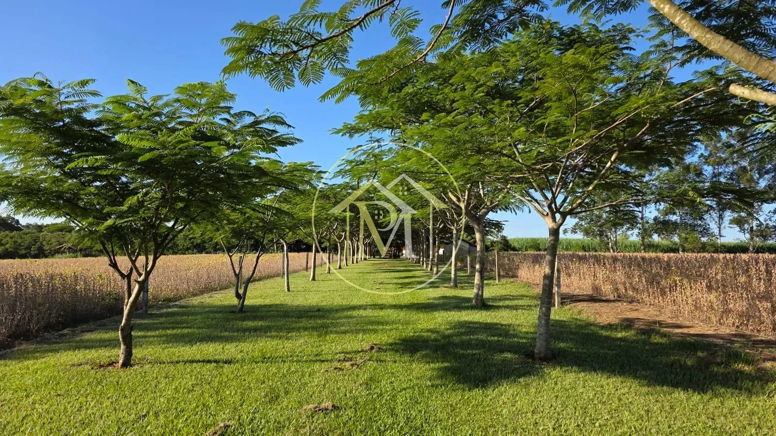 Sítio, 3 quartos, 13 hectares - Foto 12