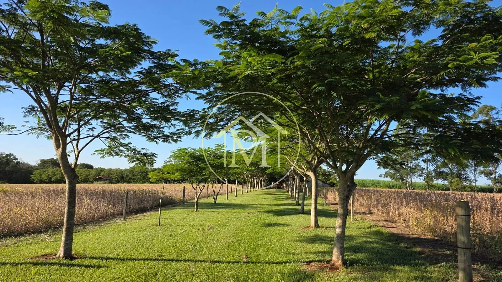Sítio, 3 quartos, 13 hectares - Foto 17