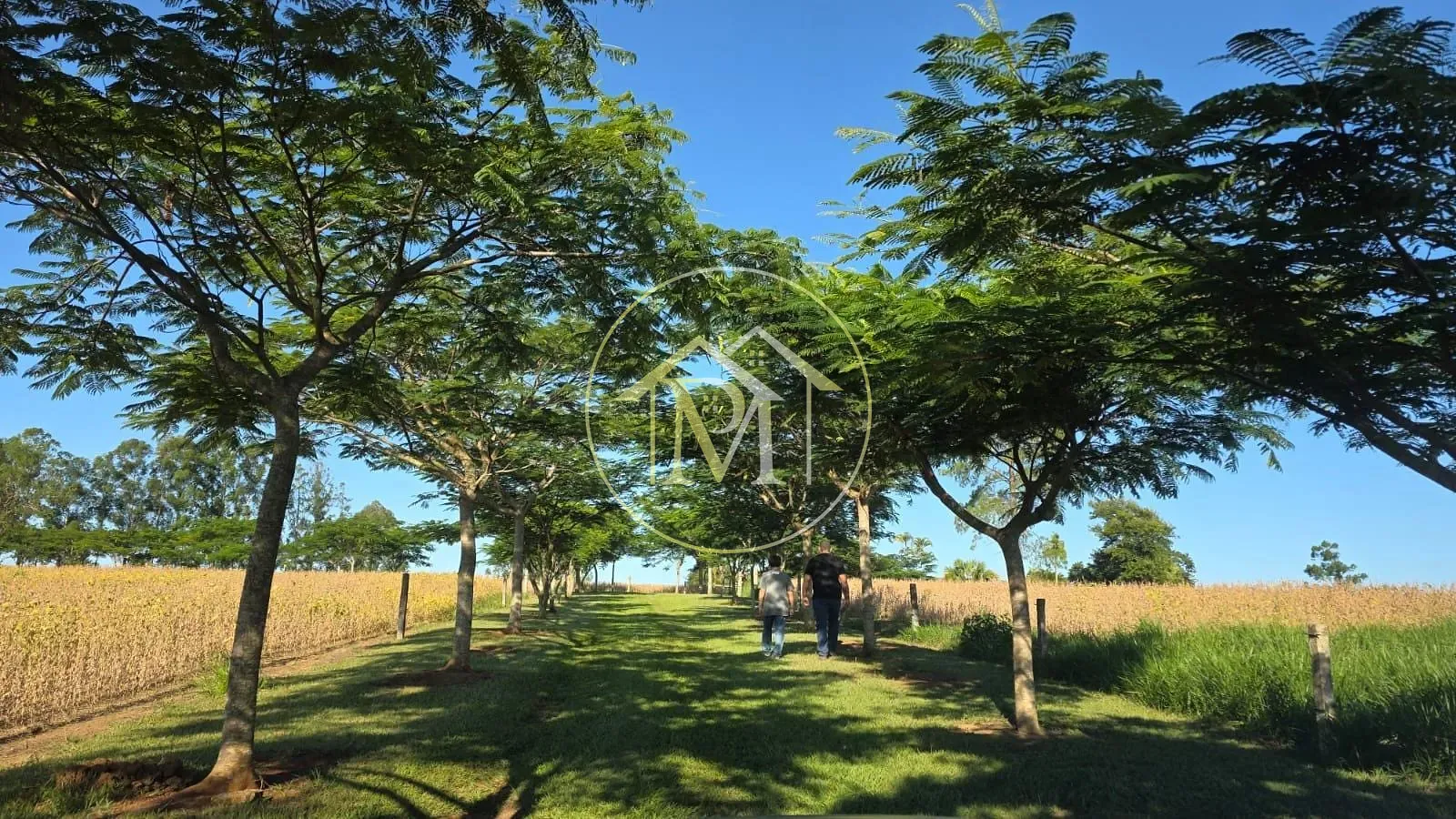 Sítio, 3 quartos, 13 hectares - Foto 30