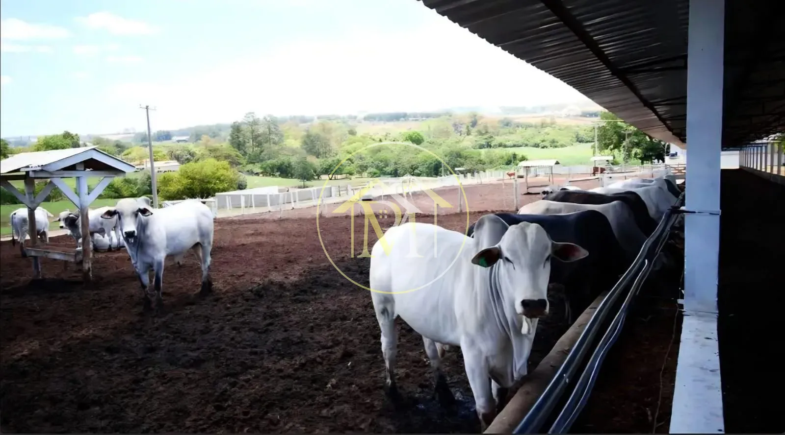 Fazenda, 10 m² - Foto 14