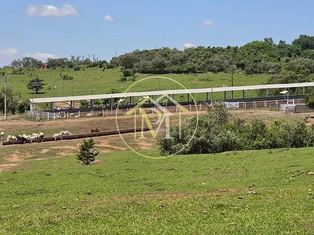 Sítio 1 quarto e 1 banheiro, à venda, no bairro Rural em Cesário Lange