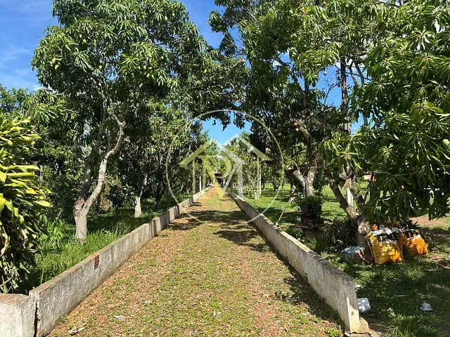 Sítio com 24200m² 4 quartos e 3 banheiros, à venda, no bairro Área Rural de Quadra em Quadra
