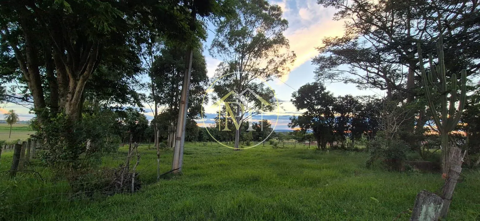 Fazenda, 5 hectares - Foto 2