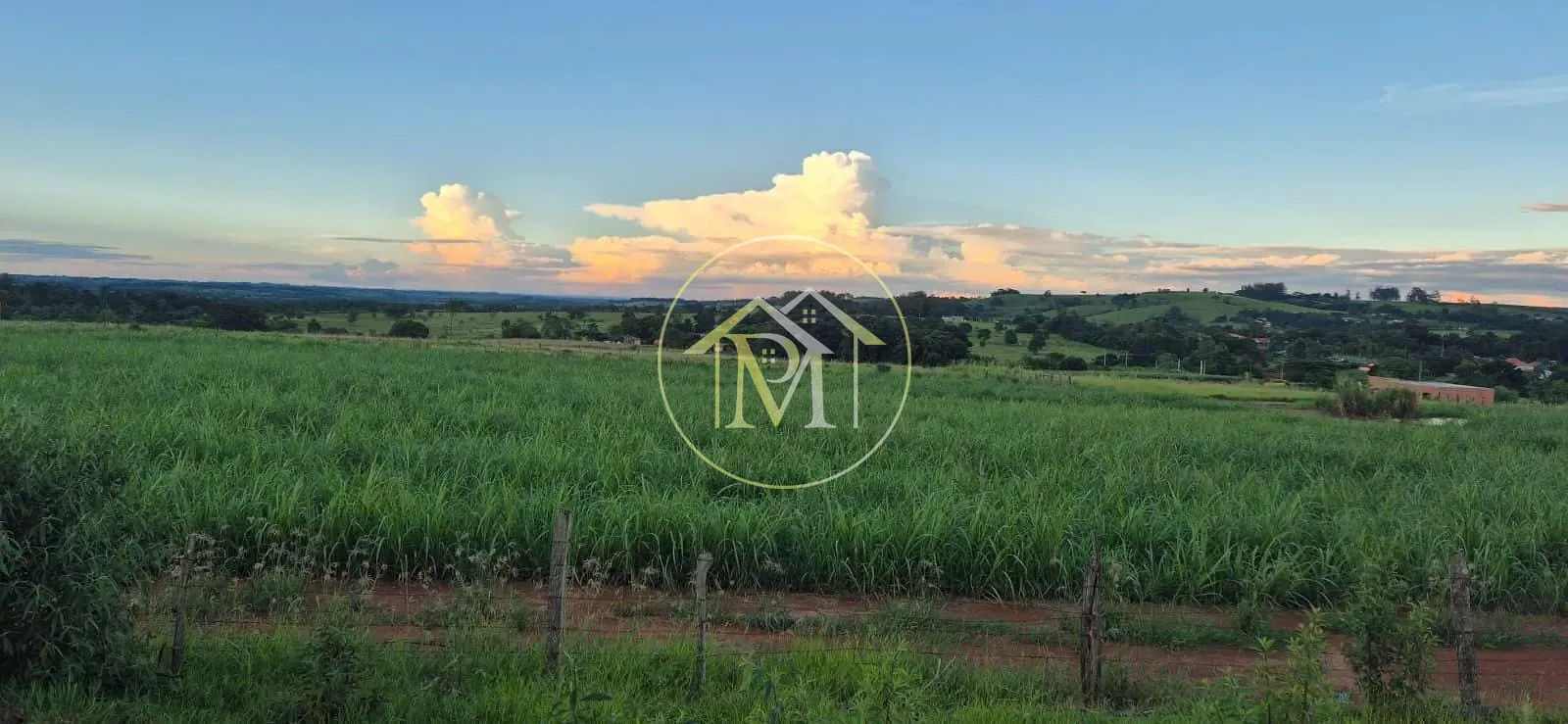 Fazenda, 5 hectares - Foto 4