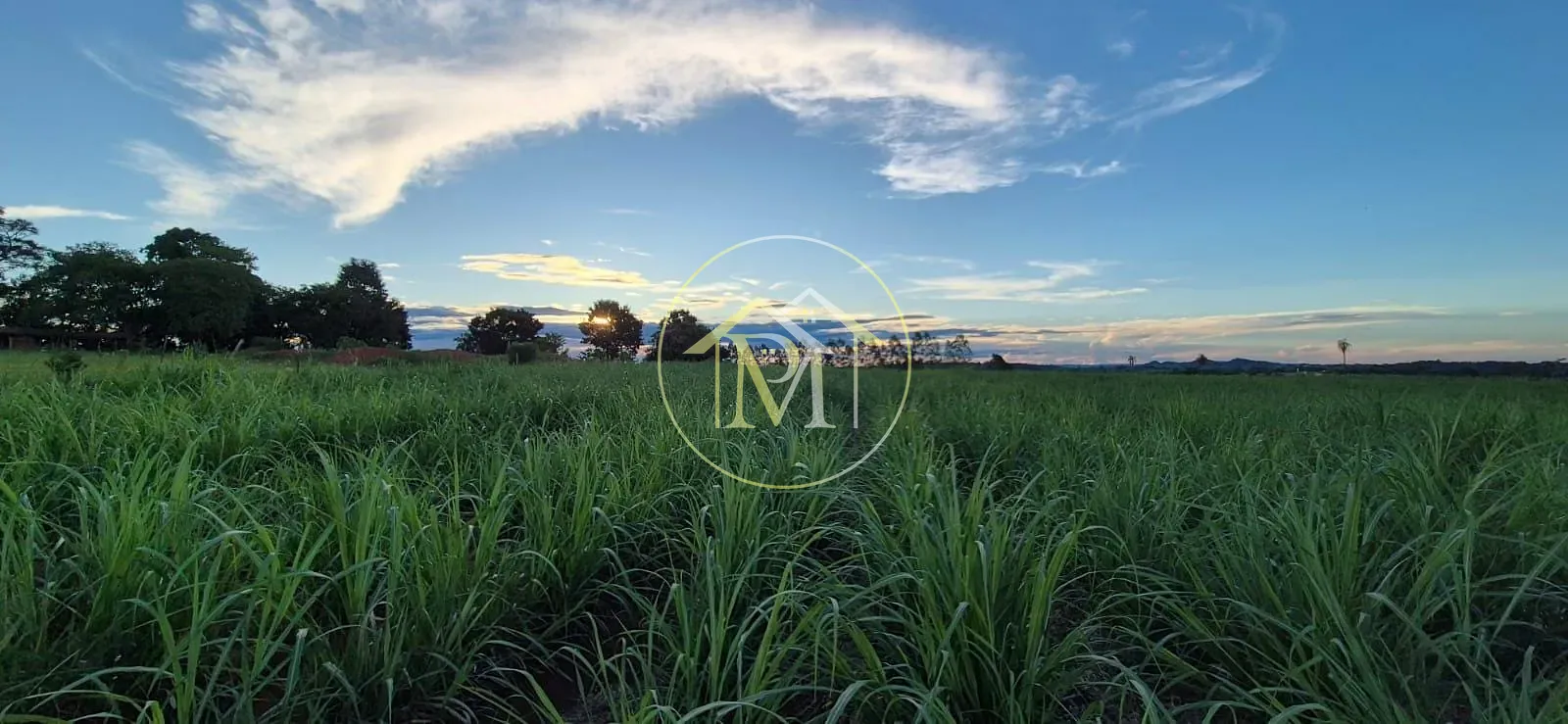 Fazenda, 5 hectares - Foto 8