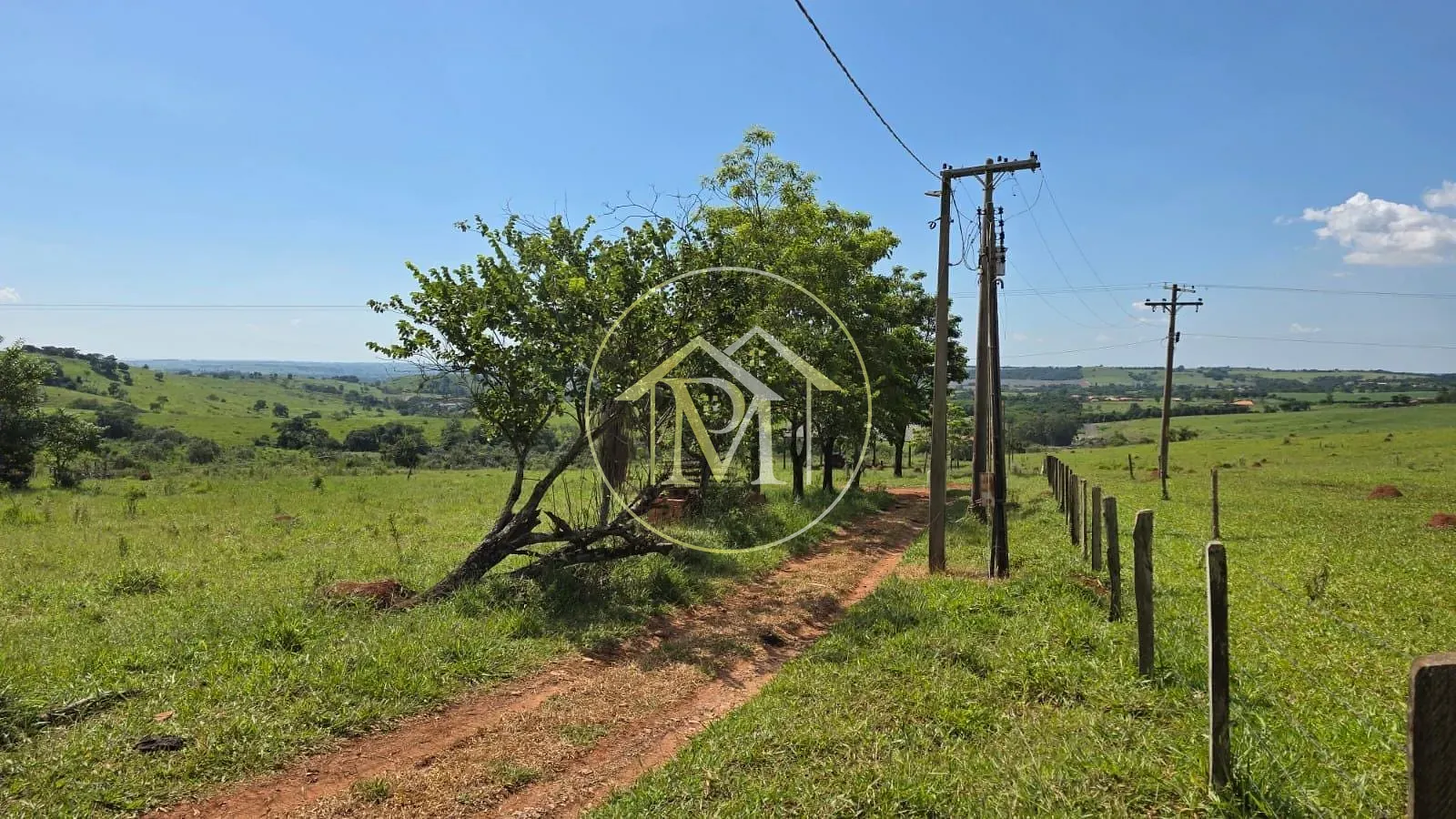 Fazenda, 24 hectares - Foto 6
