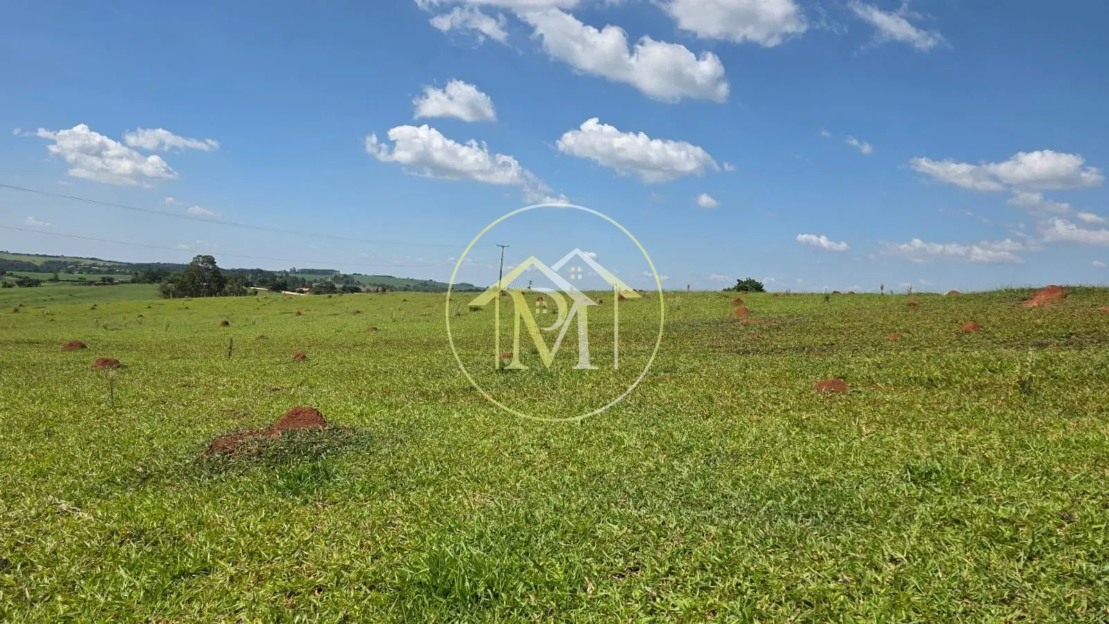 Fazenda, 24 hectares - Foto 7