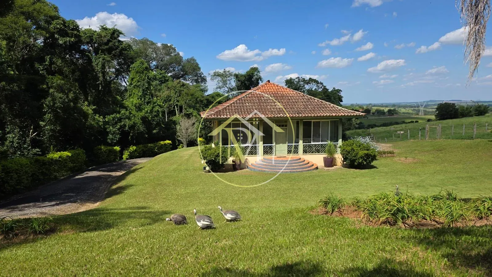 Fazenda, 90 hectares - Foto 24