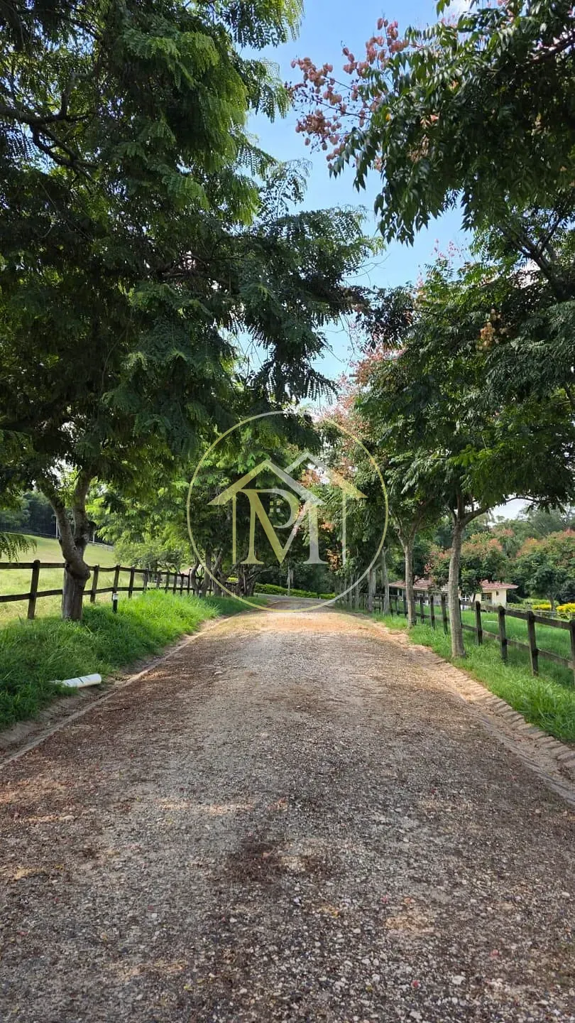 Fazenda, 90 hectares - Foto 4