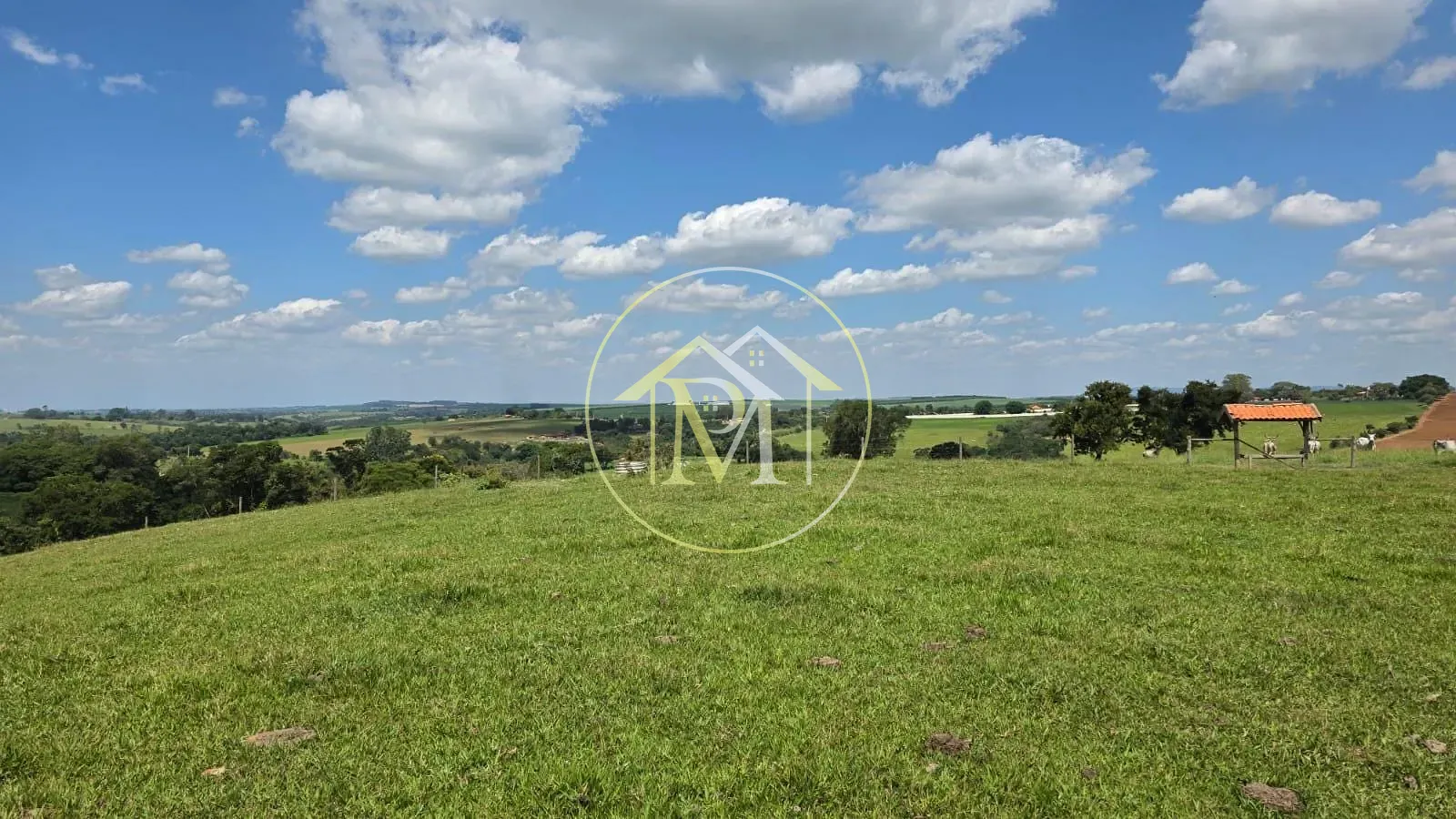 Fazenda, 90 hectares - Foto 32
