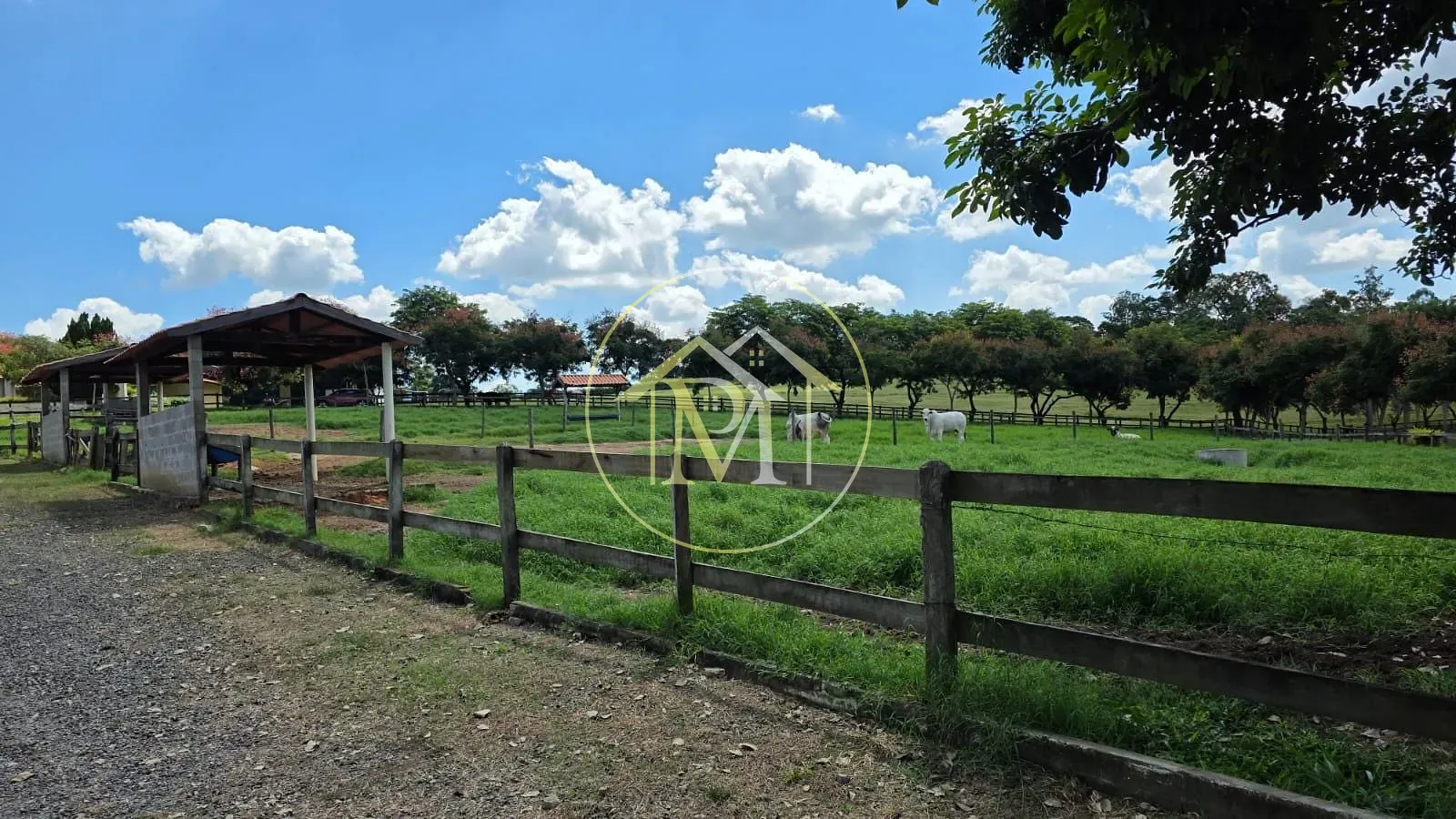Fazenda, 90 hectares - Foto 5