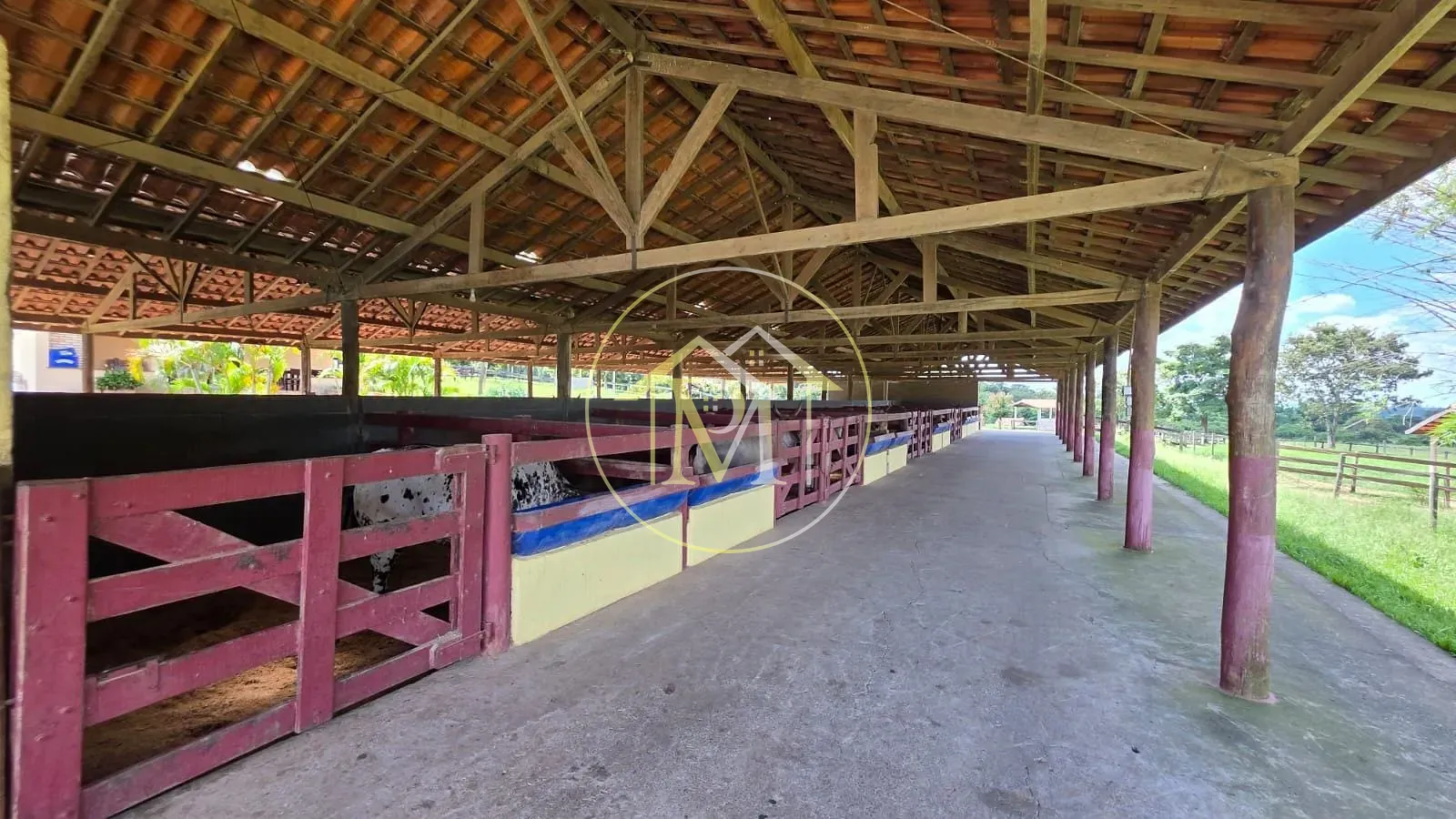 Fazenda, 90 hectares - Foto 6