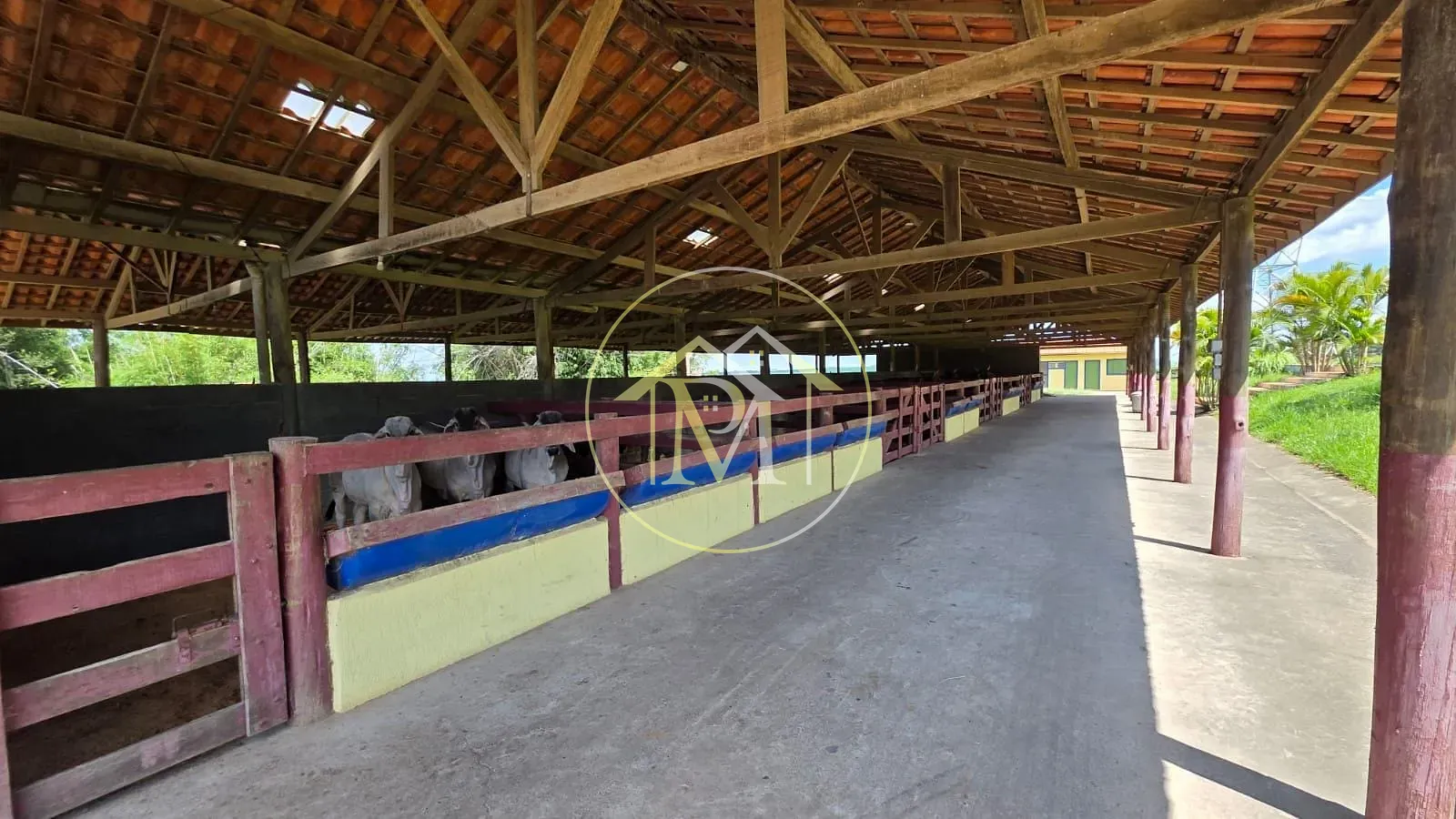 Fazenda, 90 hectares - Foto 11