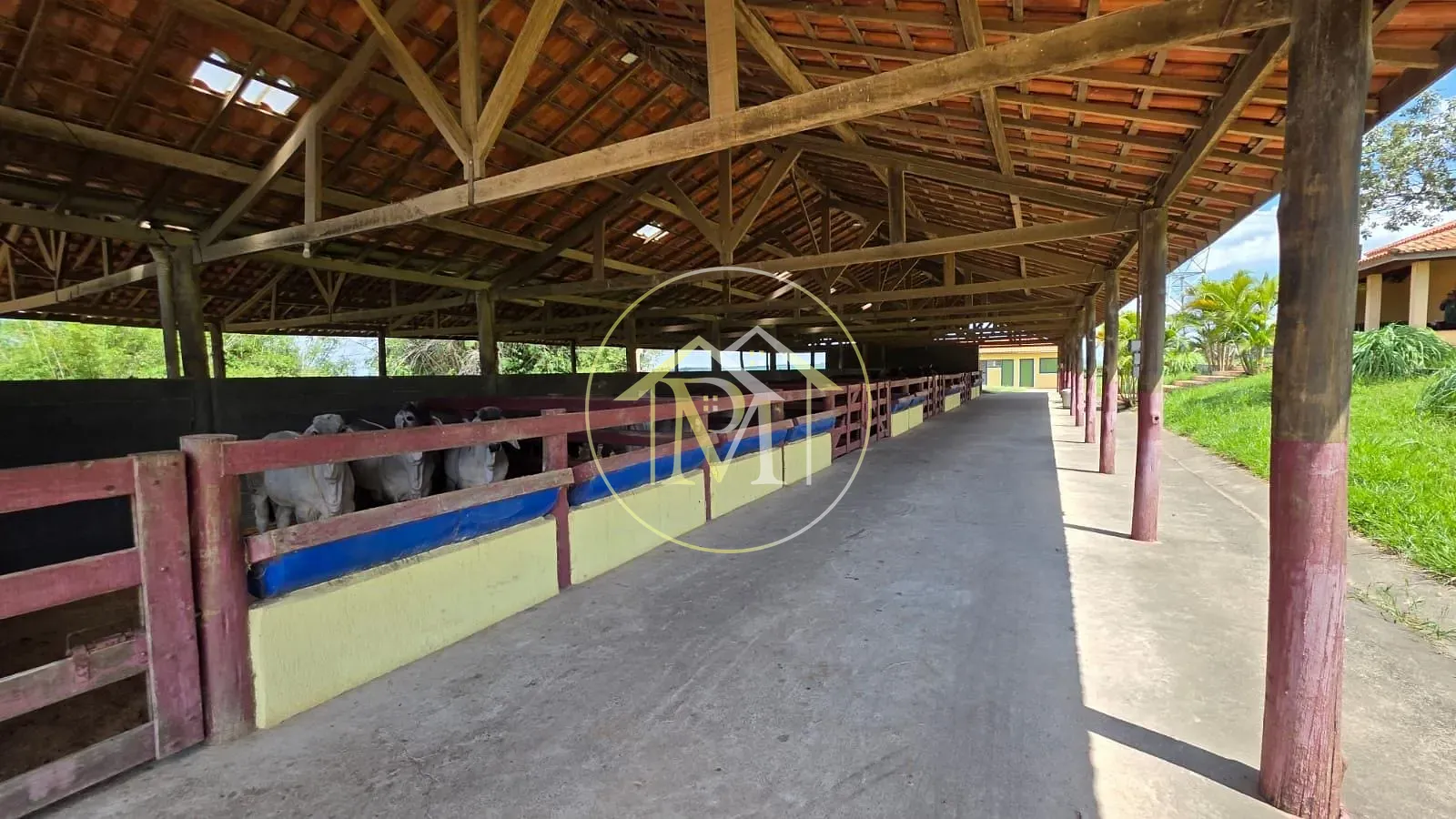 Fazenda, 90 hectares - Foto 12