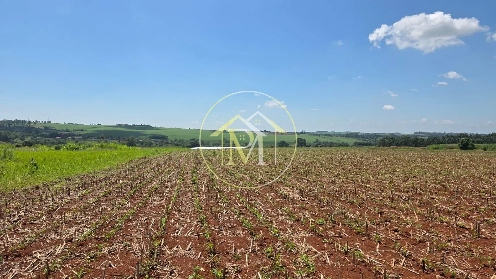 Fazenda, 16 hectares - Foto 8