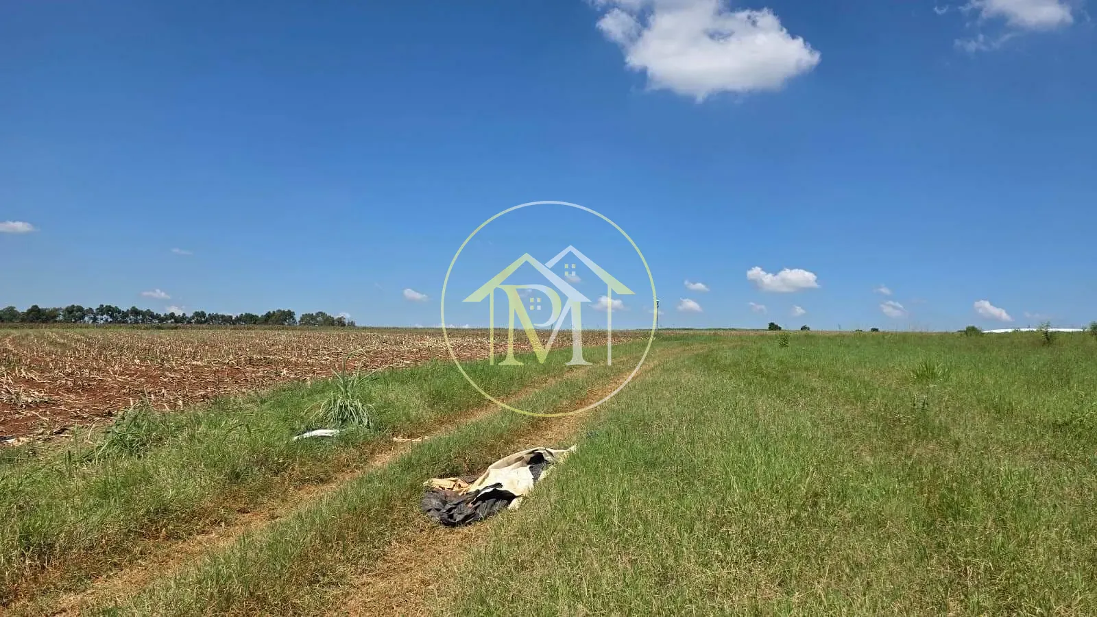 Fazenda, 16 hectares - Foto 5