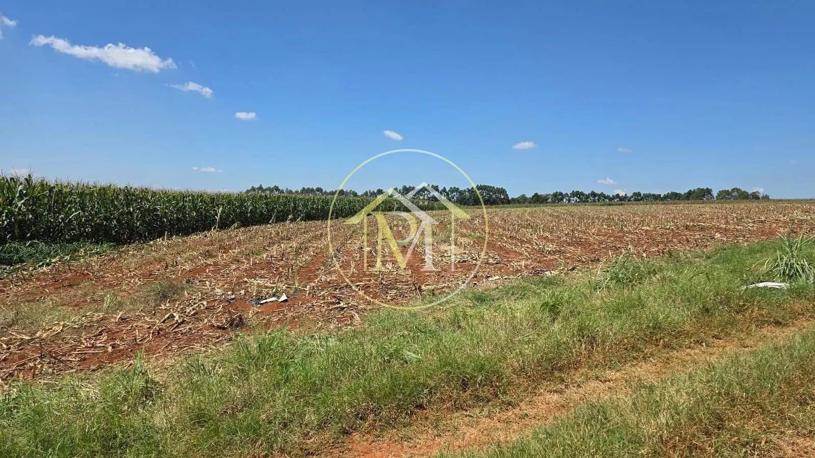 Fazenda, 16 hectares - Foto 6